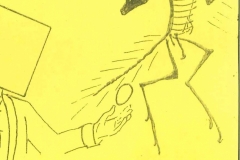 chicken 7